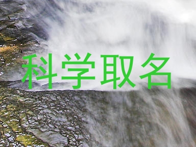 科学取名