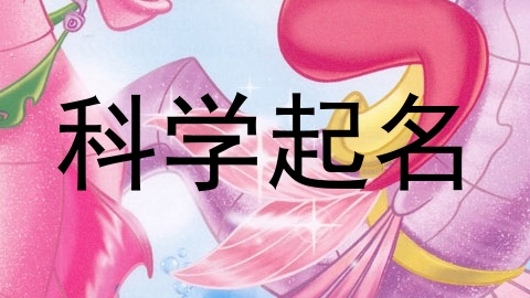 科学起名