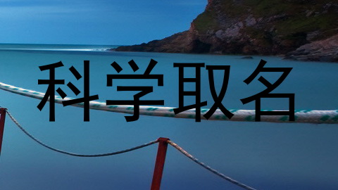 科学取名