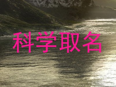 科学取名