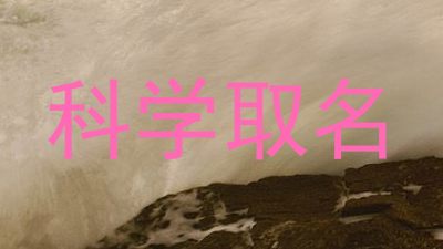 科学取名