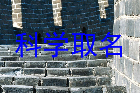 科学取名