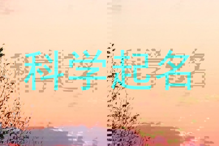 科学起名