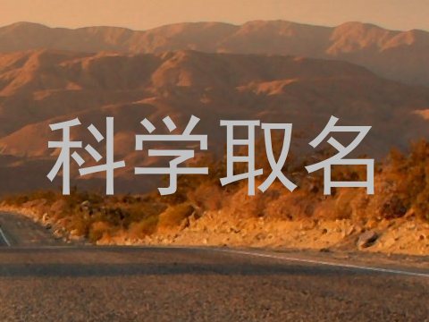 科学取名