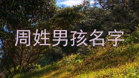 周姓男孩名字