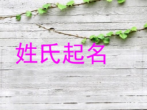 姓氏起名