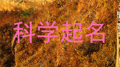 科学起名
