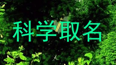 科学取名
