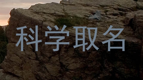 科学取名