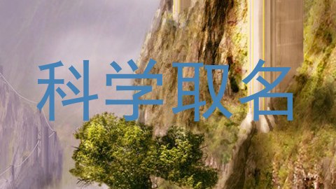 科学取名