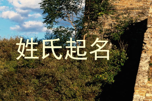 姓氏起名