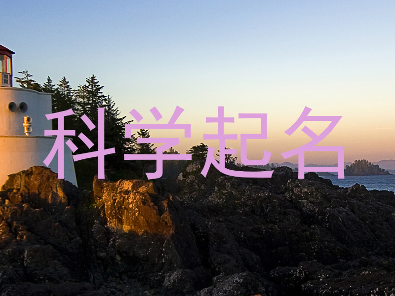 科学起名