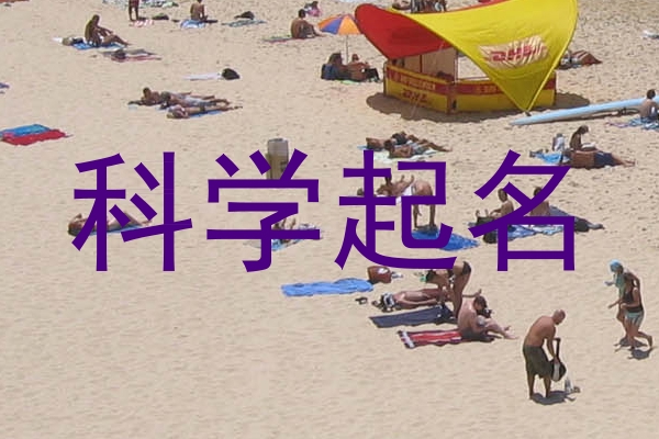 科学起名
