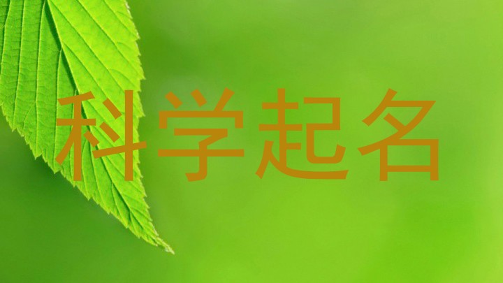 科学起名