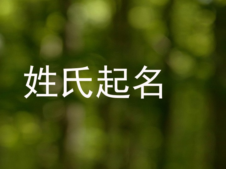 姓氏起名
