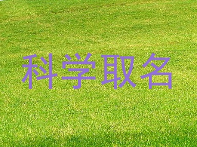 科学取名