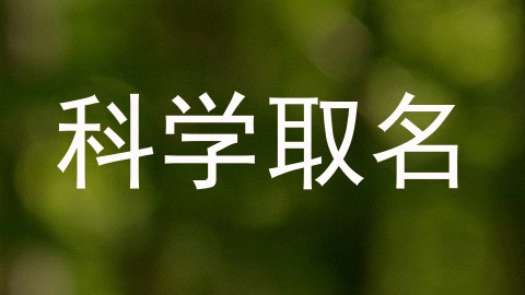 科学取名