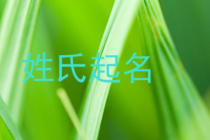 姓氏起名
