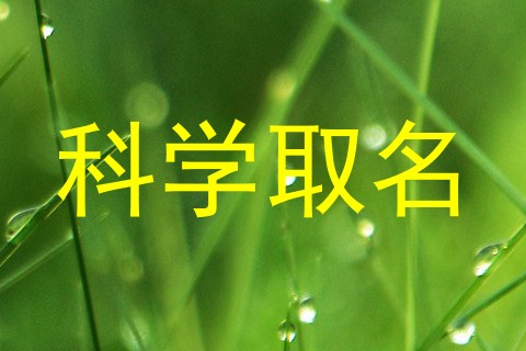 科学取名