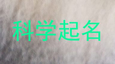 科学起名