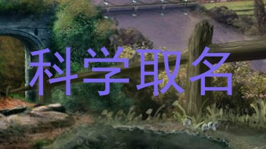科学取名
