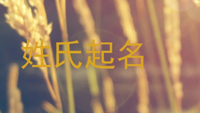 姓氏起名