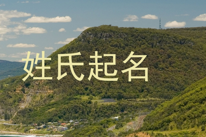姓氏起名