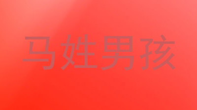 马姓男孩