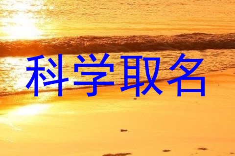科学取名