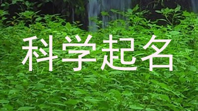 科学起名