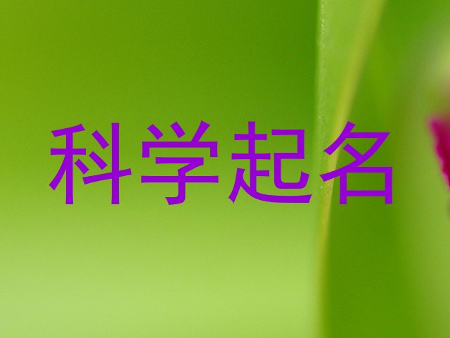 科学起名