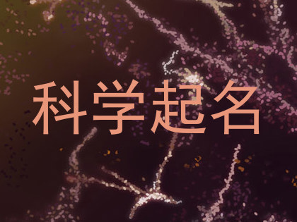 科学起名