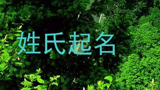 姓氏起名