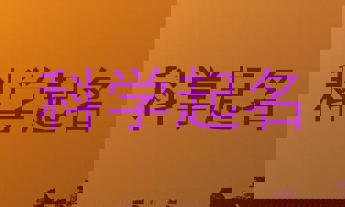 科学起名