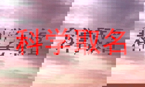 科学取名