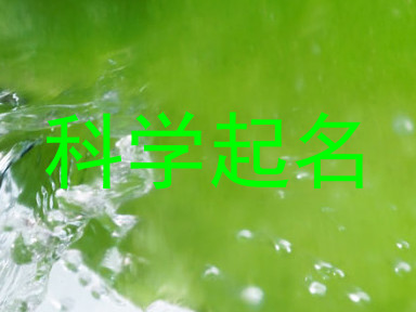 科学起名