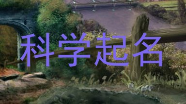 科学起名