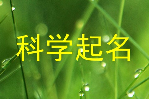 科学起名
