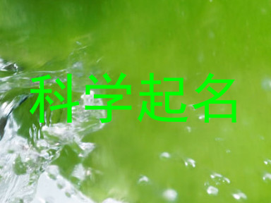 科学起名