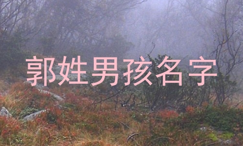 郭姓男孩名字