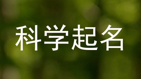 科学起名