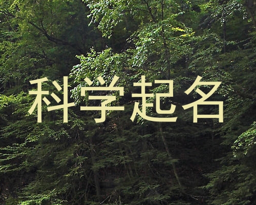 科学起名