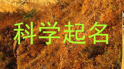 科学起名