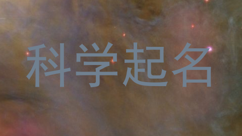 科学起名