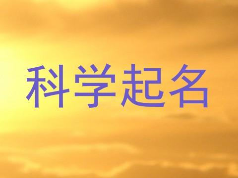 科学起名