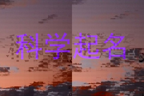 科学起名