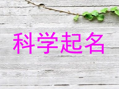 科学起名
