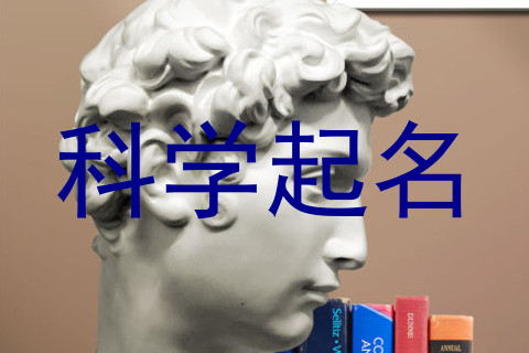 科学起名