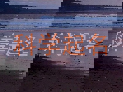 科学起名