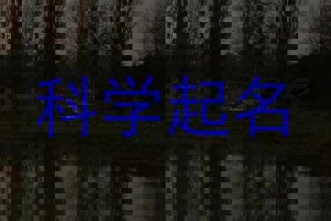 科学起名